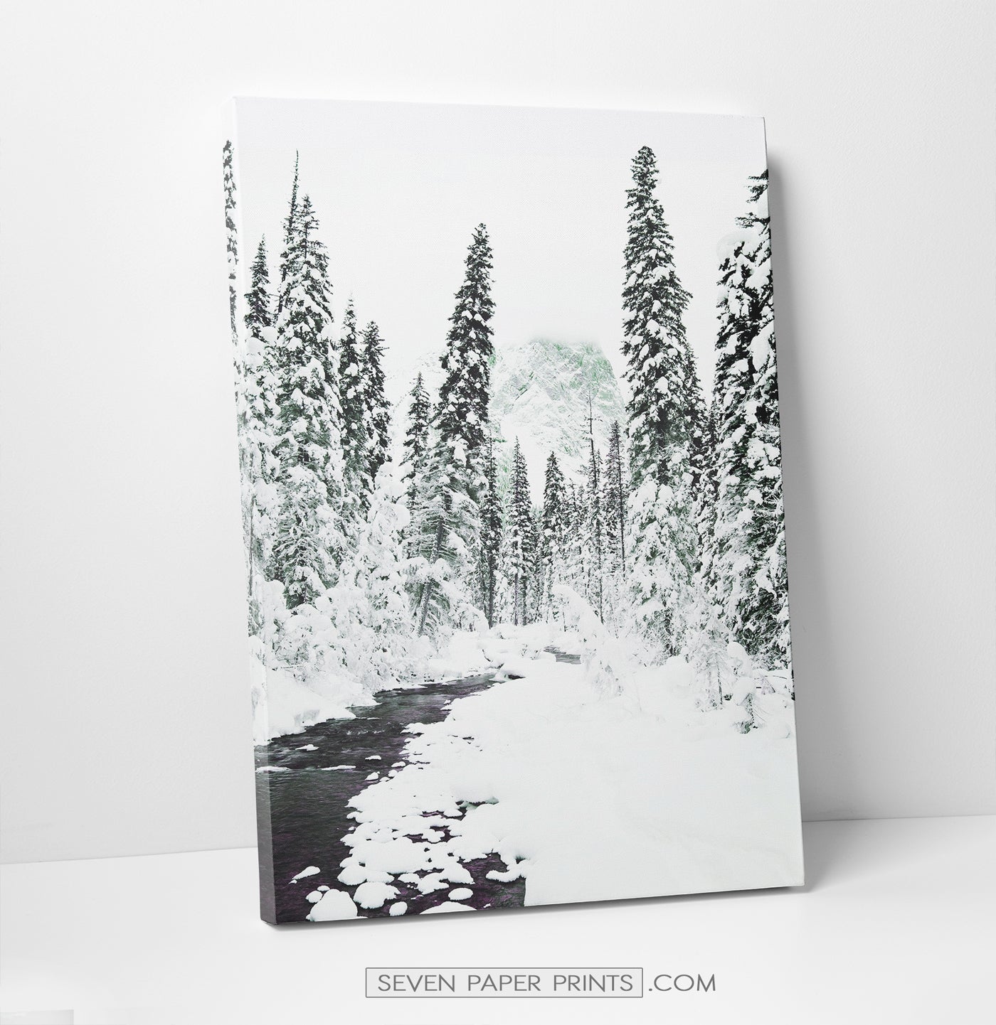 6 Piece Canvas Winter Themed Wall Decor