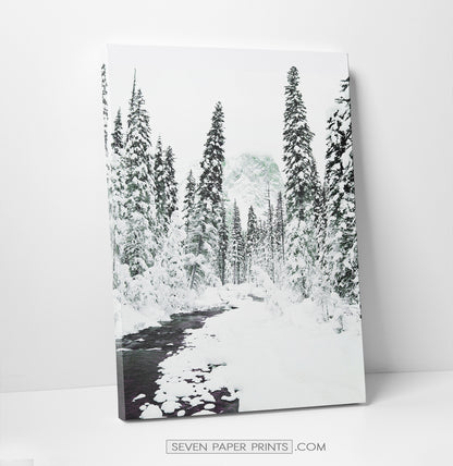 6 Piece Canvas Winter Themed Wall Decor