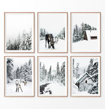 Load image into Gallery viewer, Winter Photography set of 6. Moose, Reindeer, River, Snowy Forest, Cabin
