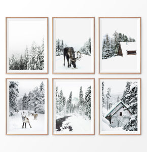 Winter Photography set of 6. Moose, Reindeer, River, Snowy Forest, Cabin