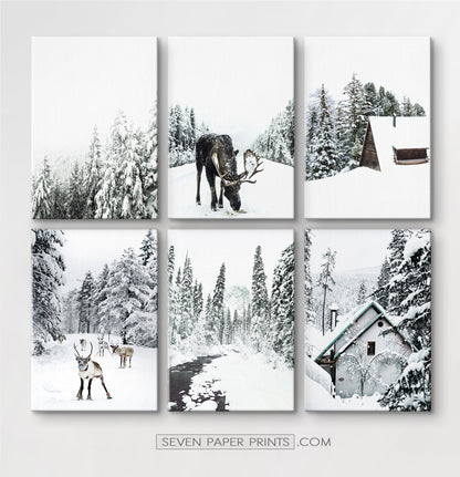 6 Piece Canvas Winter Themed Wall Decor