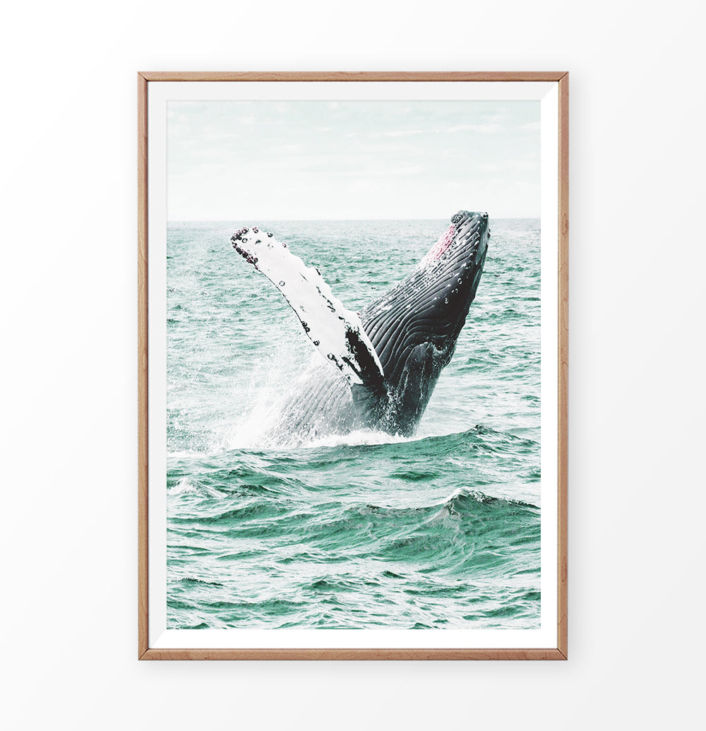 Whale in the turquoise ocean waves wall art