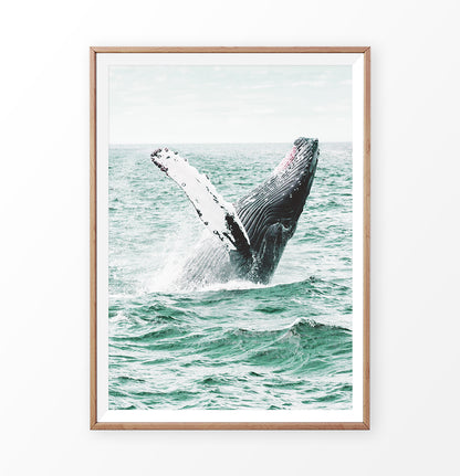 Whale in the turquoise ocean waves wall art