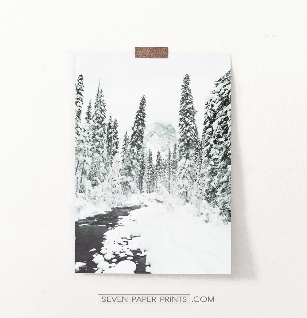Beautiful Winter Forest River Wall Art