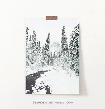 Beautiful Winter Forest River Wall Art