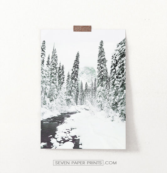 Beautiful Winter Forest River Wall Art
