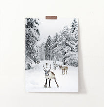Load image into Gallery viewer, Reindeers in snow photography
