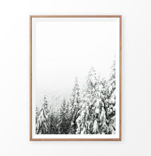 Load image into Gallery viewer, Wood-framed Charming Spruce Tops Covered in Snow Photo Art
