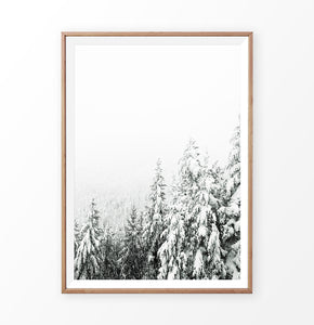 Wood-framed Charming Spruce Tops Covered in Snow Photo Art