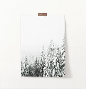 Charming Spruce Tops Covered in Snow Photo Art