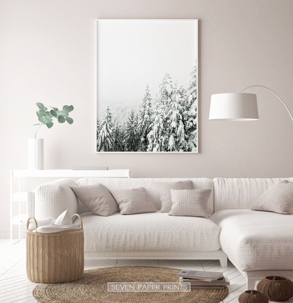 White-framed Charming Spruce Tops Covered in Snow Photo Art