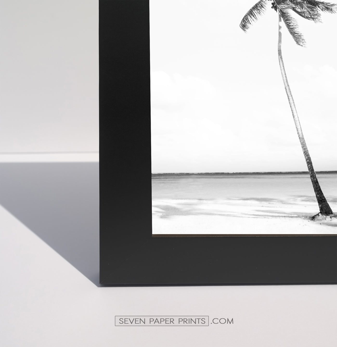 Santa Monica Ferris Wheel, Beach Palms 3 Framed Wall Art