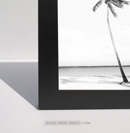 Santa Monica Ferris Wheel, Beach Palms 3 Framed Wall Art