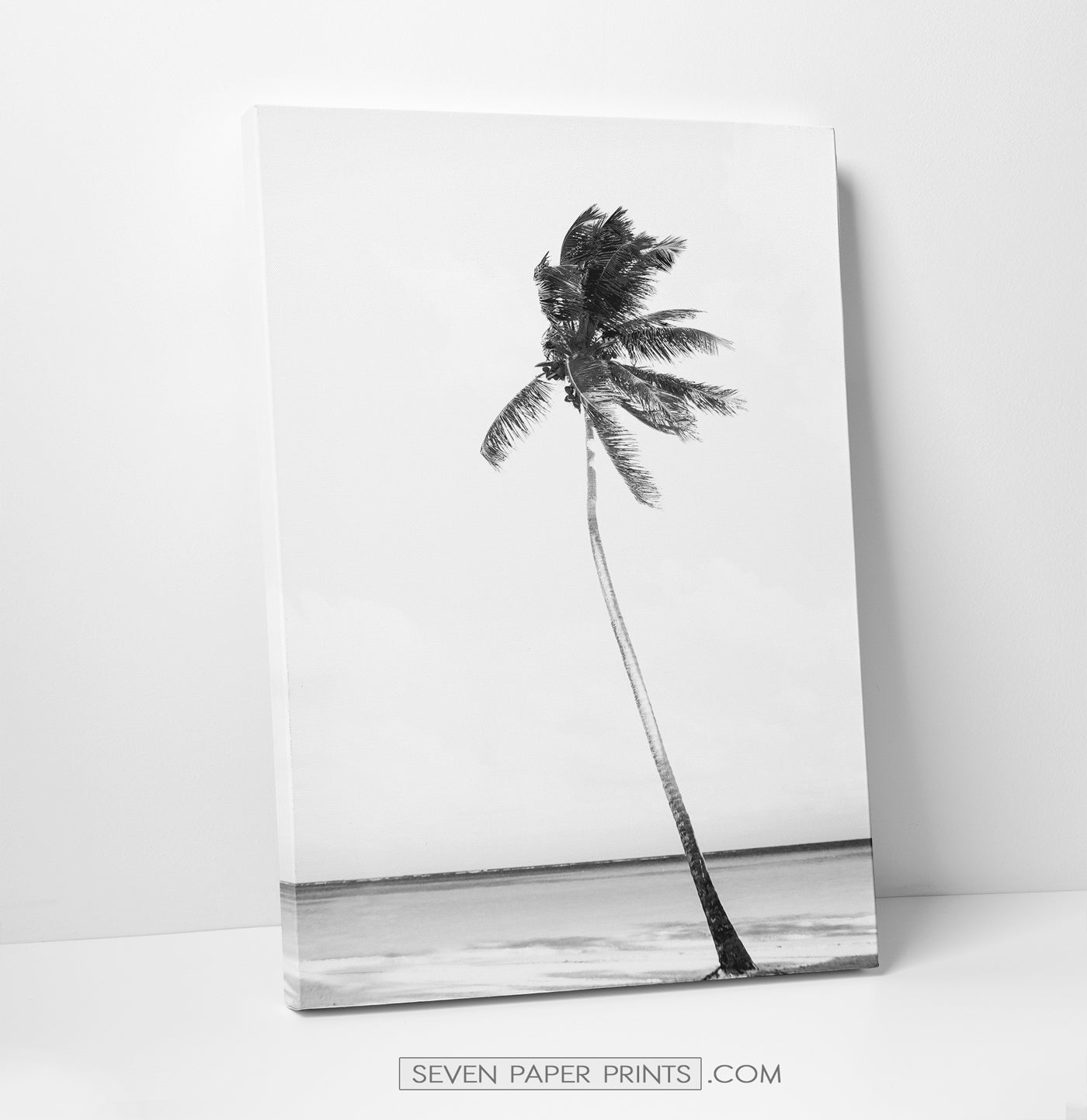 Black white coastal set of 3 canvases #260