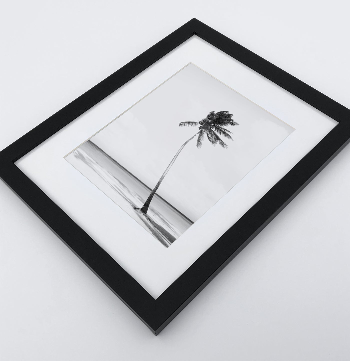 Santa Monica Ferris Wheel, Beach Palms 3 Framed Wall Art