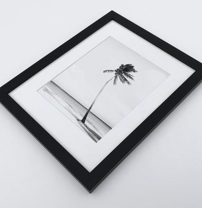 Santa Monica Ferris Wheel, Beach Palms 3 Framed Wall Art