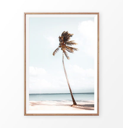 Black And White Palm Wall Art