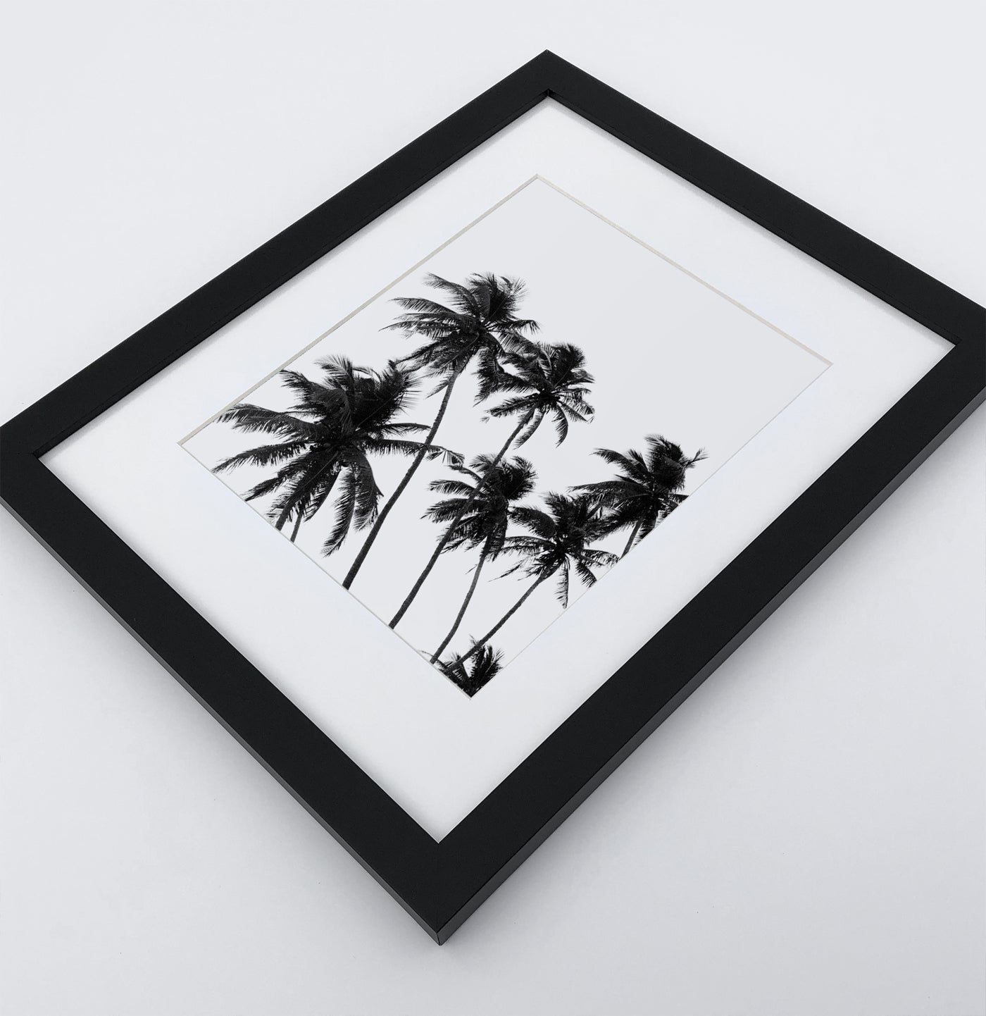 3 Piece Black and White Framed Surfing Posters with Palms
