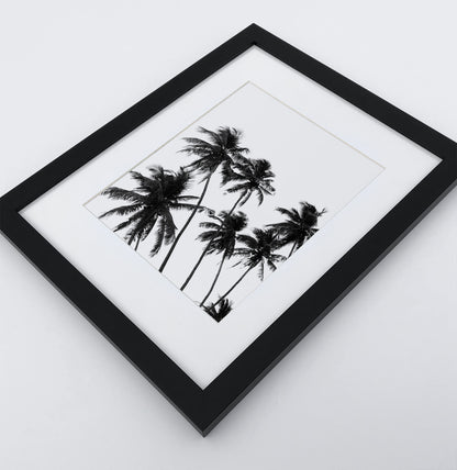 3 Piece Black and White Framed Surfing Posters with Palms