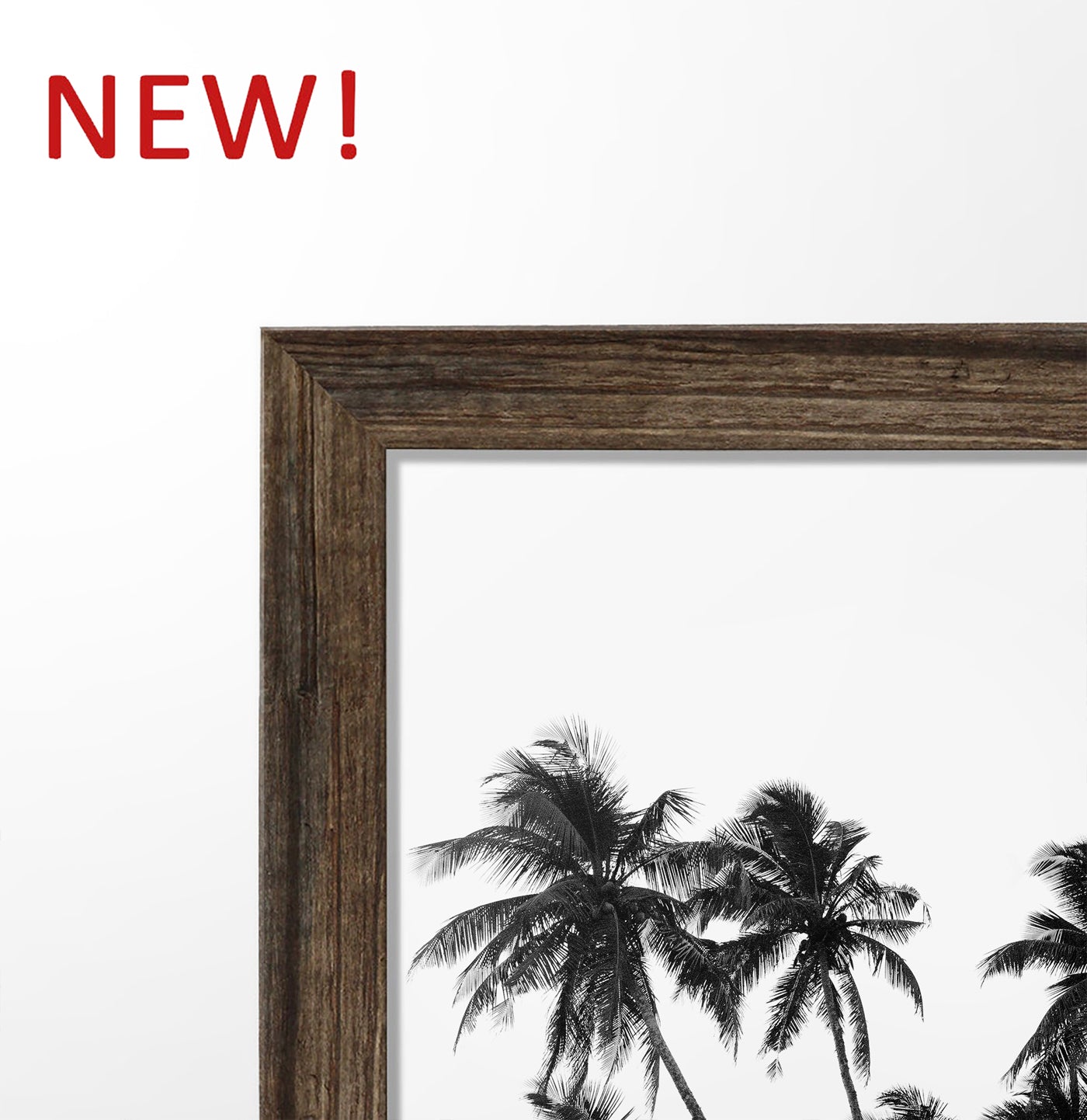 3 Piece Black and White Framed Surfing Posters with Palms