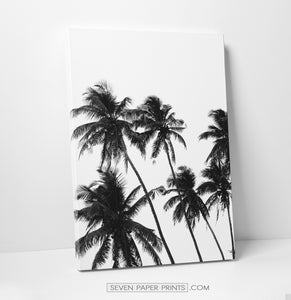 Black and white 3 piece surfing canvas prints #270