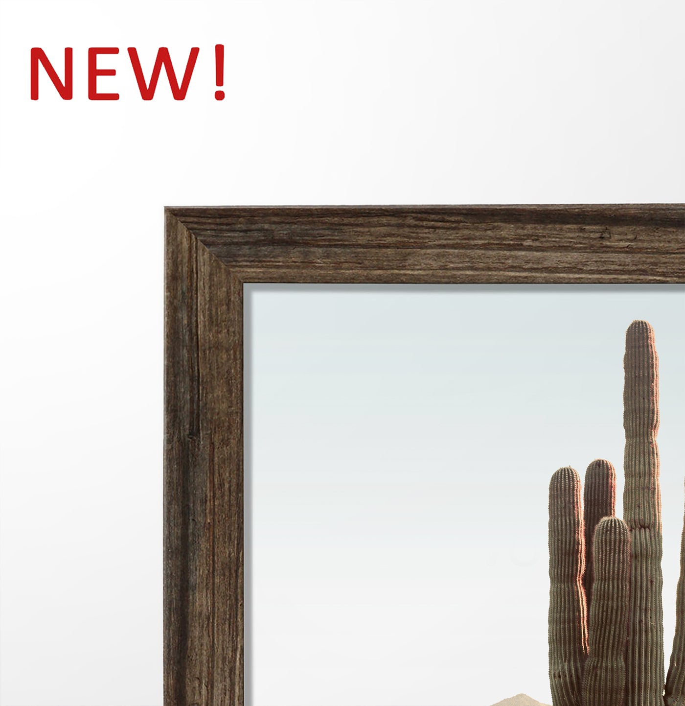 Arizona Desert Travel Gallery Wall with Cacti
