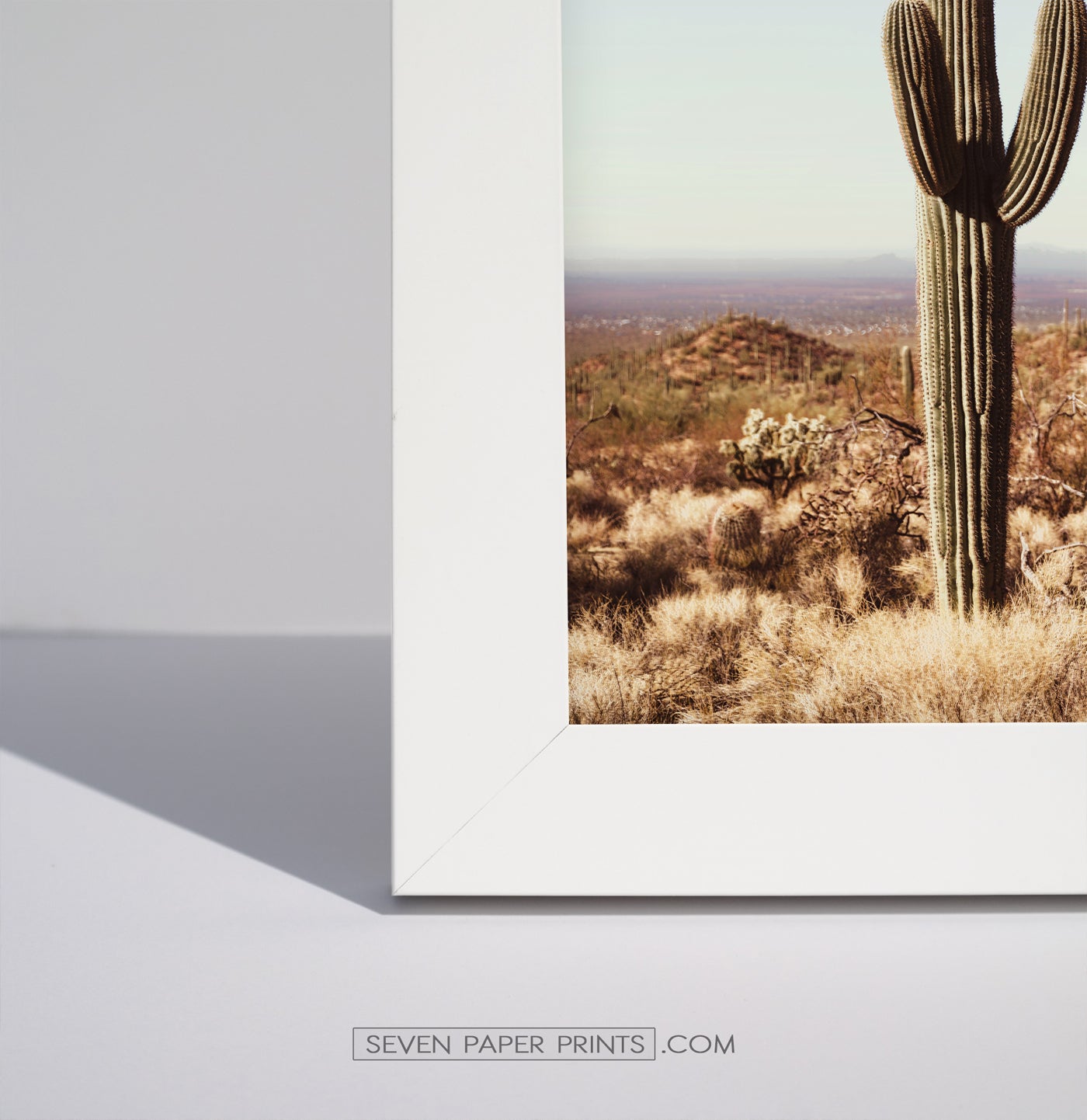 Arizona Desert Travel Gallery Wall with Cacti