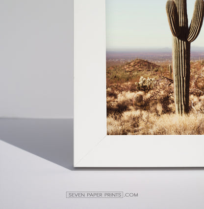 Arizona Desert Travel Gallery Wall with Cacti