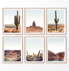 Desert wall art set of 6 prints, cactus plants wall art