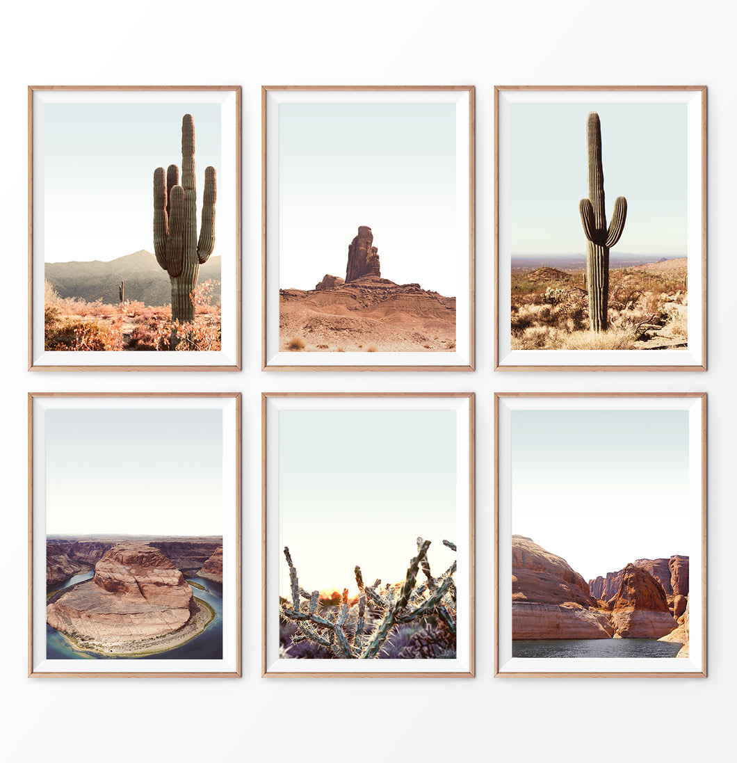 Desert wall art set of 6 prints, cactus plants wall art