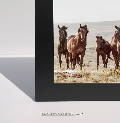 Corner of a black frame