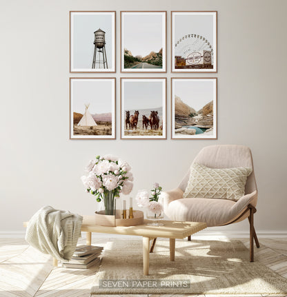 Texas Nature Beauty 6 Piece Wall Art