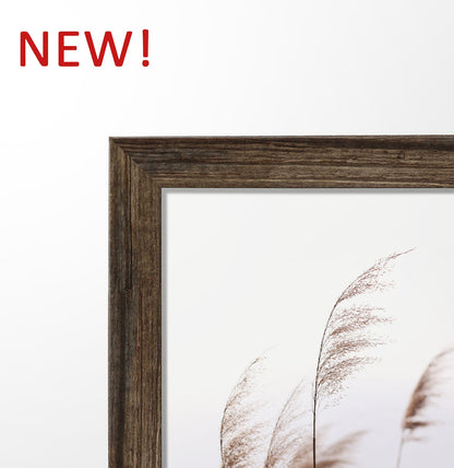 Beige Coastal Gallery Wall | Framed