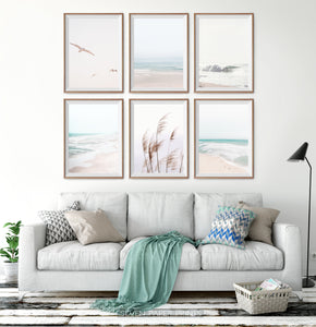 Living Room Soft Color Coastal Gallery Wall