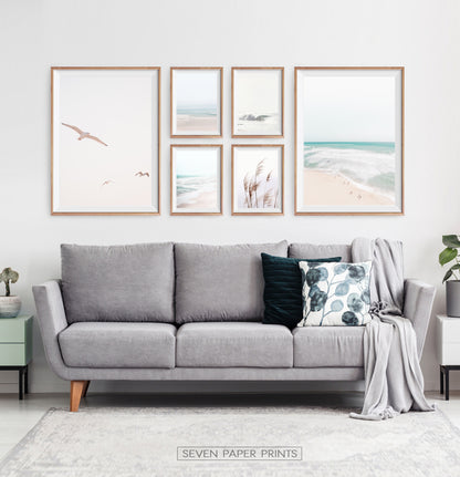 6 Piece Ocean Gallery Wall - Waves, Seagulls