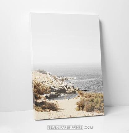 Coastal canvas set #297