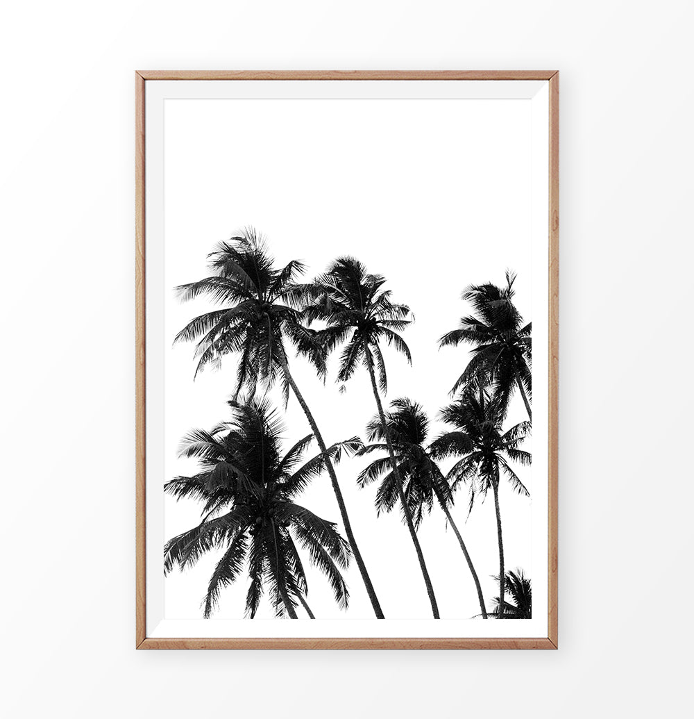 Black and White Tropical Palm Wall Decor