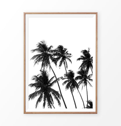 Black and White Tropical Palm Wall Decor