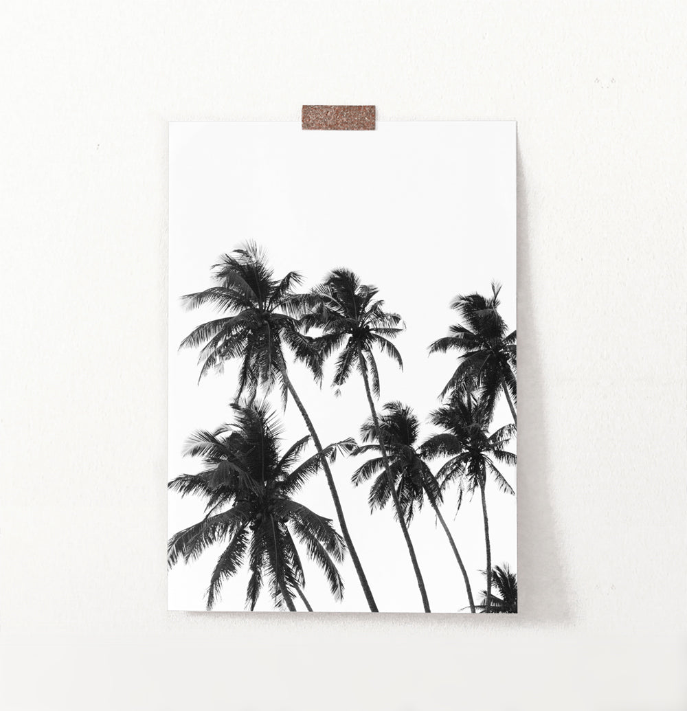 Black and White Tropical Palm Wall Decor