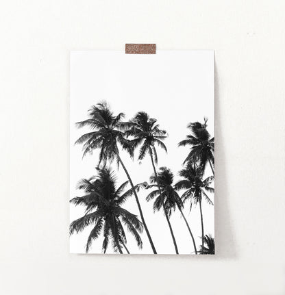 Black and White Tropical Palm Wall Decor