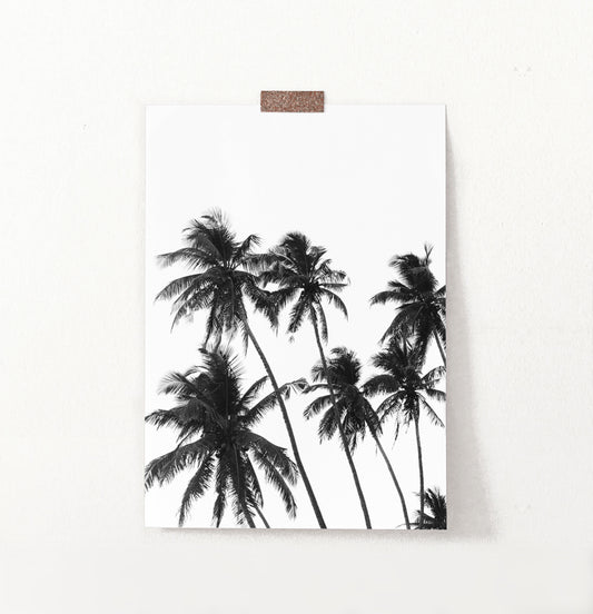 Black and White Tropical Palm Wall Decor