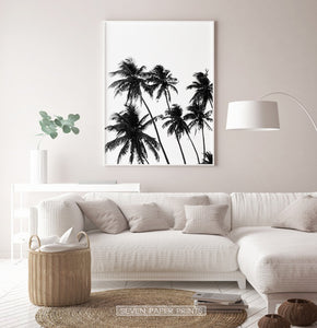 Black and White Tropical Palm Wall Decor