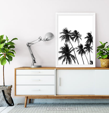 Black and White Tropical Palm Wall Decor