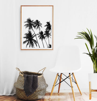 Black and White Tropical Palm Wall Decor