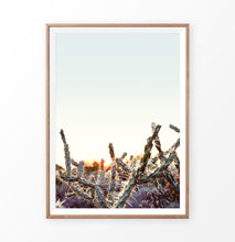 Load image into Gallery viewer, Cactus sunset print, desert sunrise wall art
