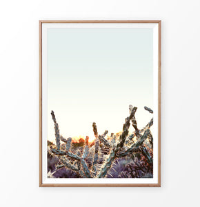 Cactus sunset print, desert sunrise wall art