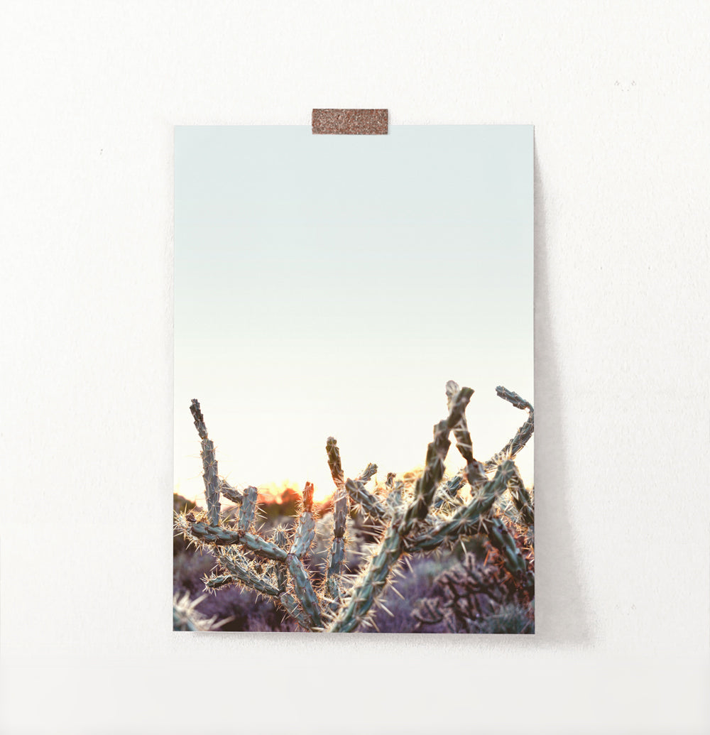 Cactus Sunset Wall Art