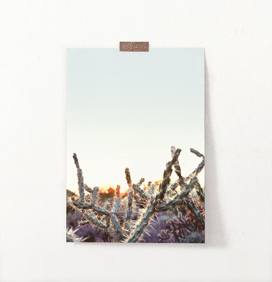 Cactus Sunset Wall Art
