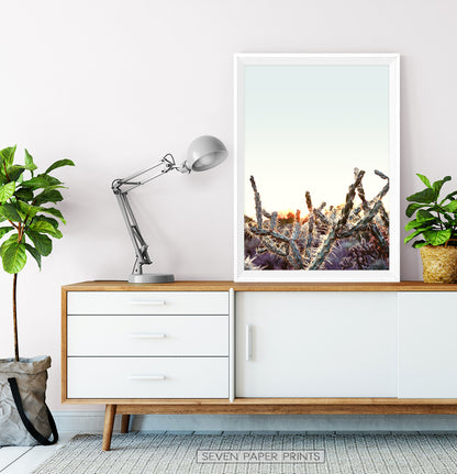Cactus Sunset Wall Art