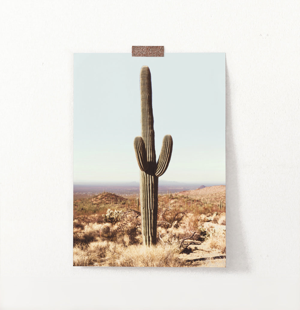 Saguaro National Park Cactus Print